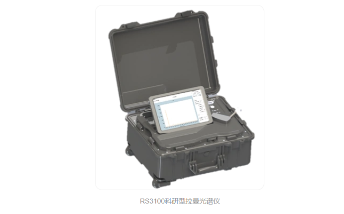 RS3100 RS3100